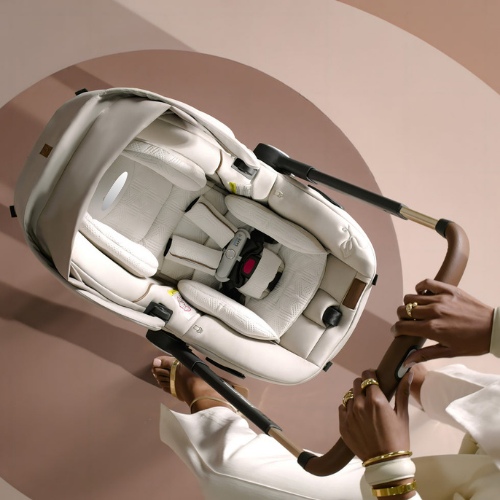 Limited Edition Shyft Dualride Infant Car Seat Stroller Combo with Green & Gentle Fabric